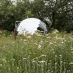 Acorn Glade Glamping