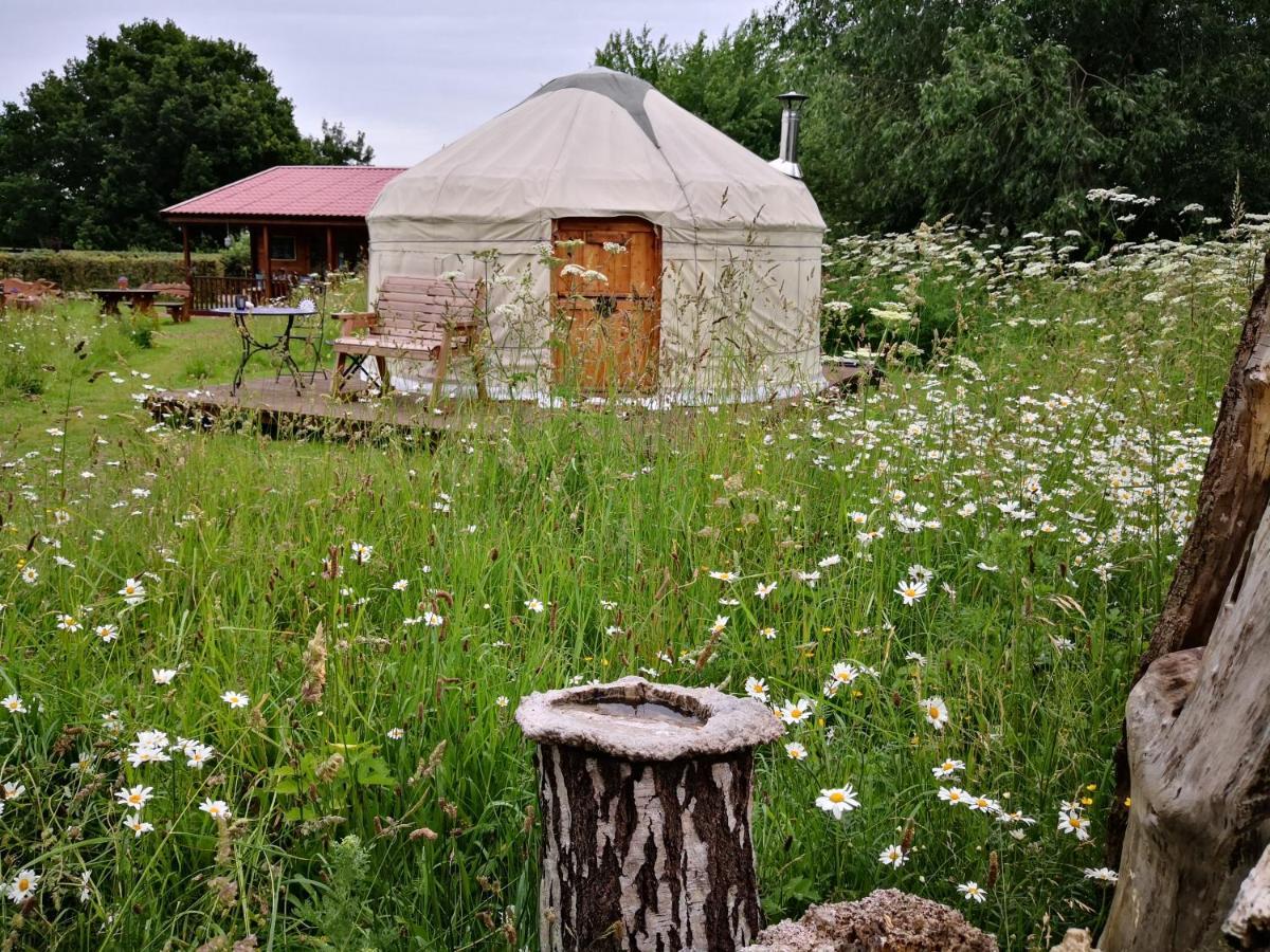 Acorn Glade Glamping